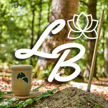 Baumbestattungen Berlin 2023 》Günstig 》24 Std. für Sie da!